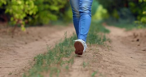 Closeup Women's Legs in White Sneakers are Walking Along a Path in the Forest