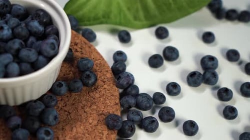 Fresh Blueberries in Bowl on White Surface