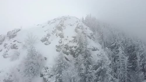 Aerial drone view of beautiful winter scenery in the mountains with pine trees covered with snow.