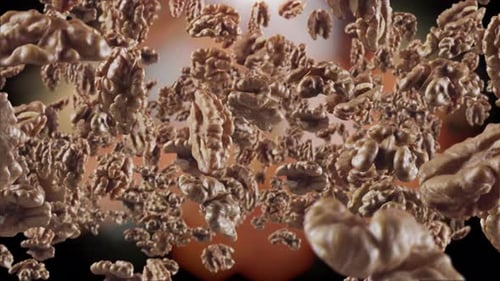 Walnuts Falling and Spinning in Close Up Detail