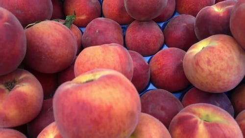 Fresh Peaches In Blue Crates Ready For Sale At The Market