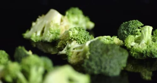Fall Fresh Broccoli in the Water