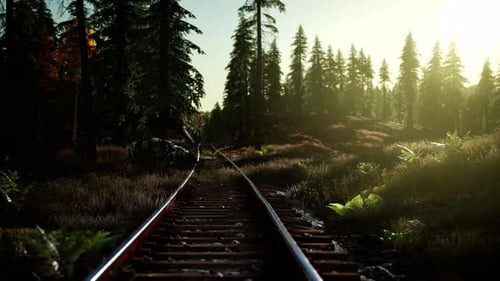 Seamless Loop of Train Tracks Journey Through Sunny Forest
