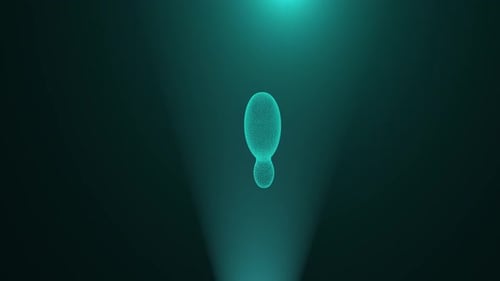 Futuristic Wireframe Bowling Pin Morphing Animation
