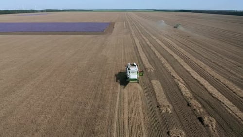 Aerial view of combine harvesting wheat