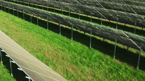 Rows of Solar Cells Built on Grass Generate Green Energy