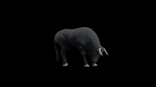 Realistic 3D Bull Lowers Head Animation