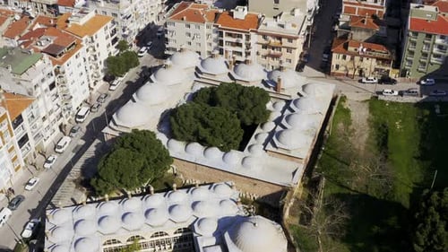 Mosque And Trees Aerial View