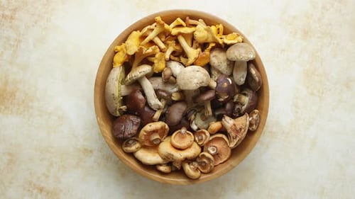 Different Fresh Wild Mushrooms in Wooden Bowl on Yellow Beige Background, Top View