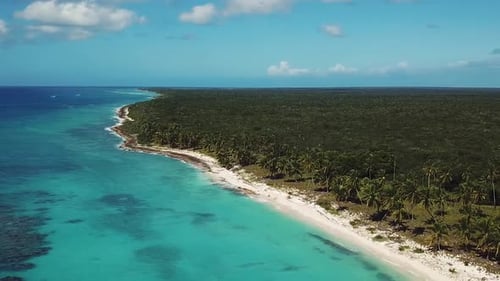 Breathtaking Aerial View of Tropical Coastline on Sunny Day
