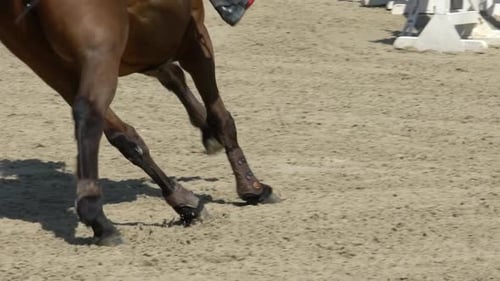 Reiten 3