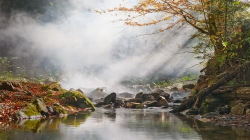 The thick fog movement above the river in the autumn forest.