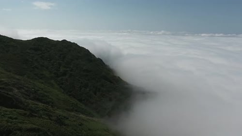 Flug über den Regenwald