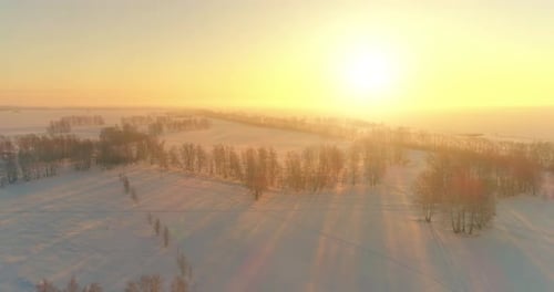 Aerial Drone View of Cold Winter Landscape with Arctic Field Trees Covered with Frost Snow and
