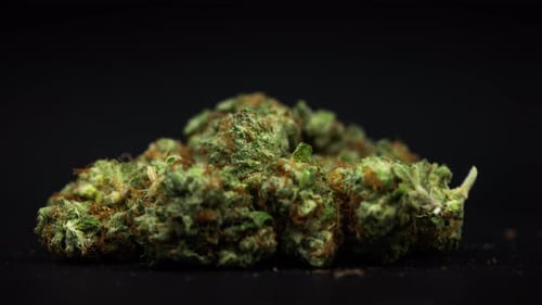 Pile of Cannabis Nugs Close-Up