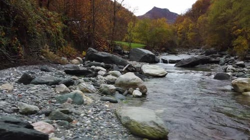 Rivière en montagne