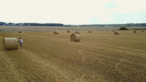 Little Boy In Field. Beautiful boy walking in a field with straw