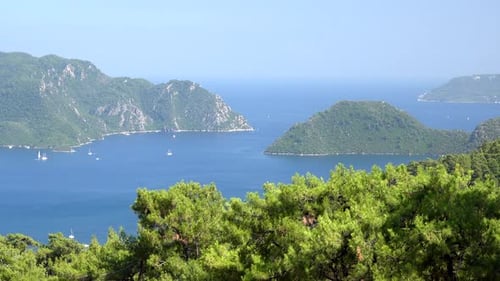 Indented Ridged Coastline and Wooded Large Tropical Island