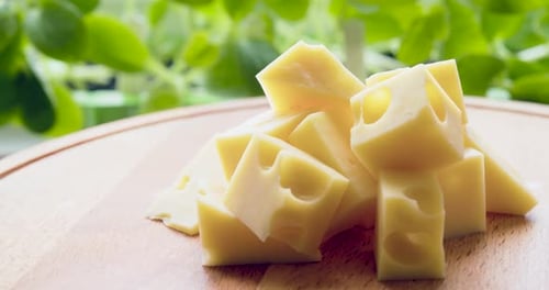 Video with Copy Space Several Pieces of Aromatic Milk Cheese Rotate on a Wooden Stand Over Natural