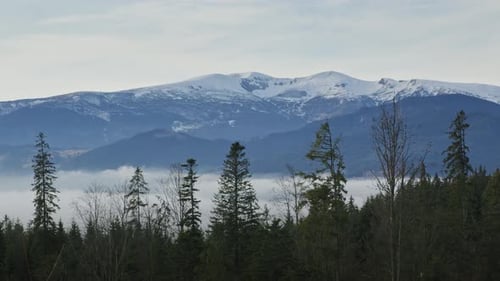 Panoramic View on the Snowy Mountain Ridge