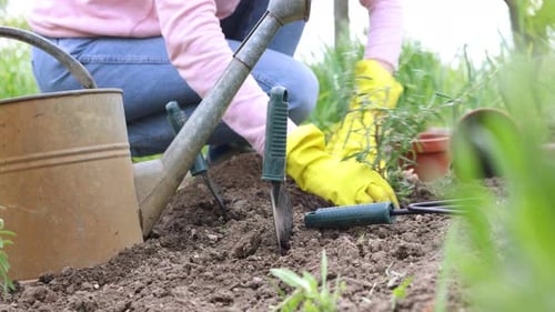 Planting Vegetable Seedlings In The Garden 10