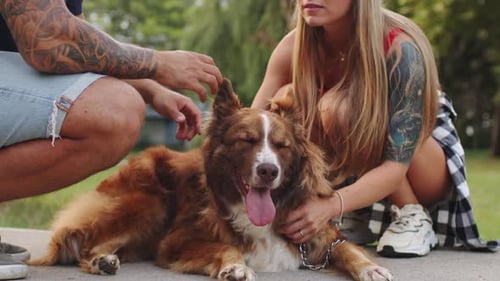 Close Up of Young Couple Petting Their Dog While Having a Walk in Park