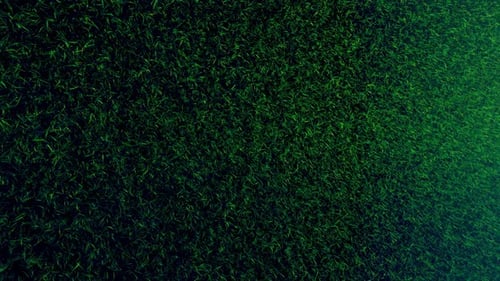 Auf Gras fliegen 02 HD