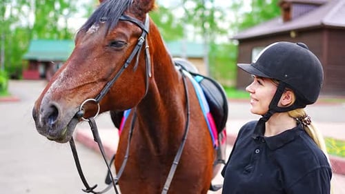 Lovely Young Woman Wearing Helmet Stroking to Her Brown Horse