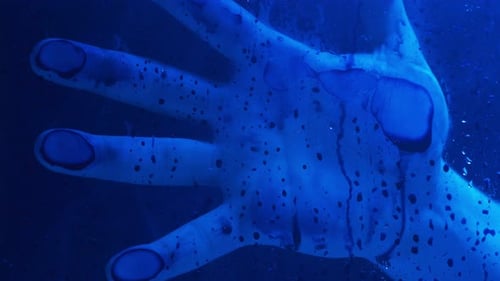 Abstract Hand Behind Water Drops