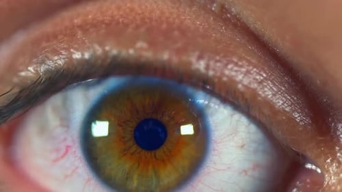 Extreme Close-Up of a Human Eye