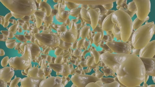 Abstract Animation of Cashew Nuts Falling