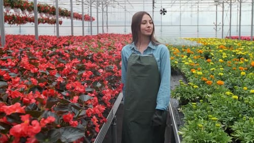 Woman Walks Through Flower-Filled Greenhouse