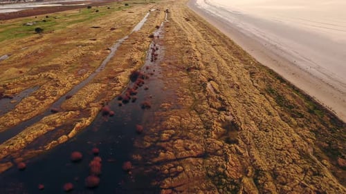 Aerial View of Grassy Coastline and Sandy Beach