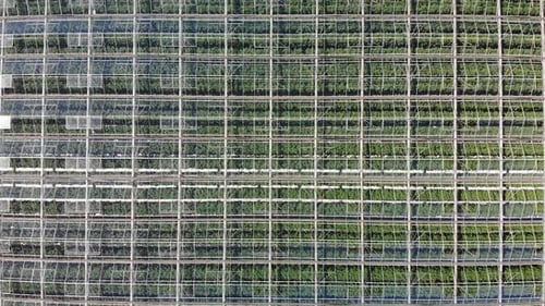 Aerial Greenhouse Farm 03