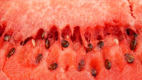 Watermelon Flesh