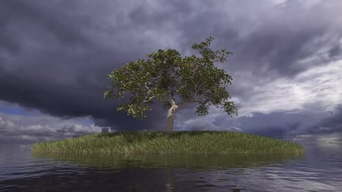 Isolated Tree on Grassy Island with Stormy Sky Loop Background