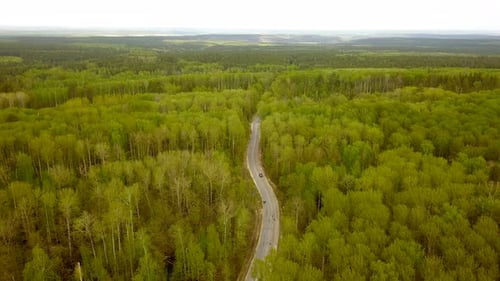Forest Road