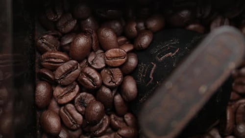 Electric Coffee Grinder Churning the Beans Into the Burrs