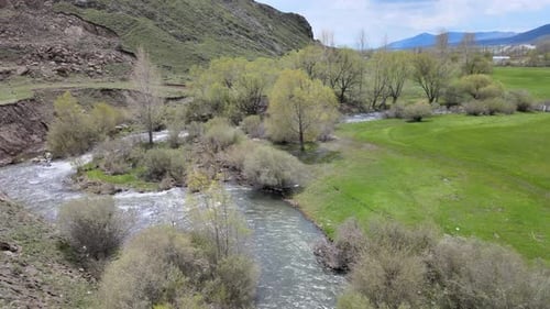 river trees spring nature