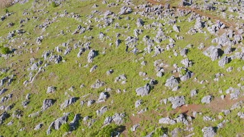 Aerial top view of rocks or stones on mountain hill with green forest trees.