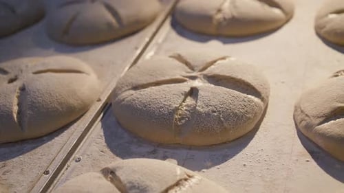 Hintergrund frisch gebackener Brotlaibe mit leckerem Brot auf dem Tisch unter Licht in der Bäckerei