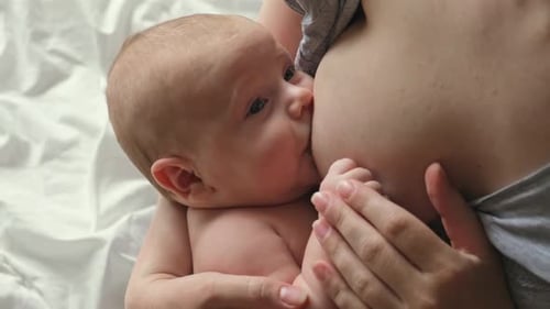 Baby Breastfeeding in Mother's Arms at Home