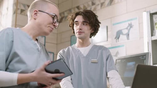 Two Veterinarians Working Together in Clinic
