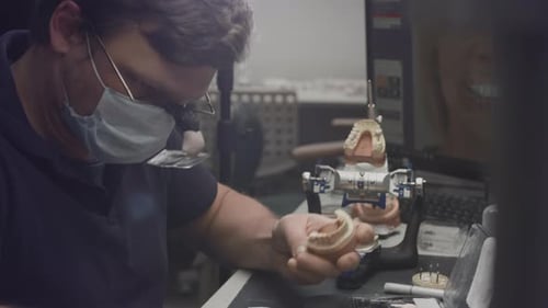 Medical Professional Working with Teeth Model