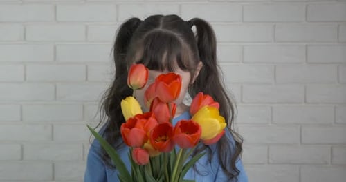 Little Girl Smells a Bouquet of Spring Tulips
