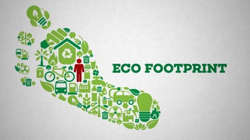 Huella ecológica con tipo