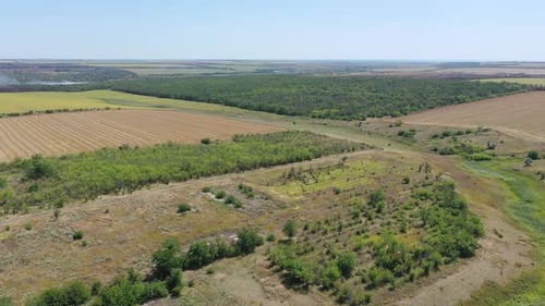 Country landscape from a bird's eye view.