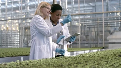 Scientists Examining Plant Sample in Greenhouse