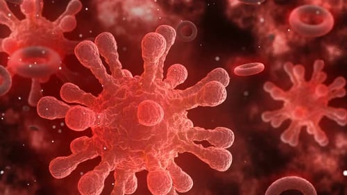 Corona virus