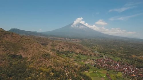 View Mountain Forest Landscape